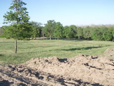 janssen performance horses farm
